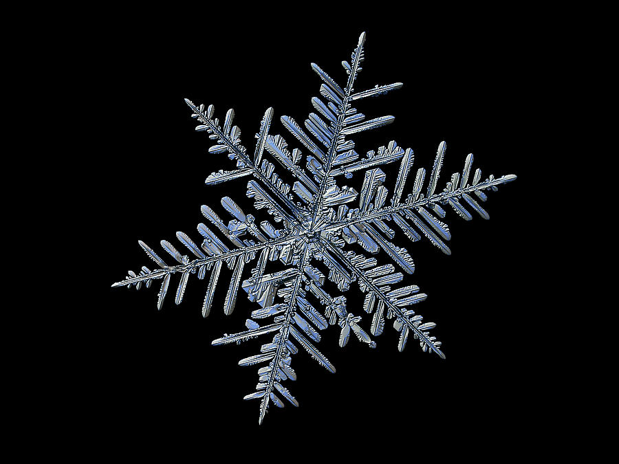 Real snowflake 2018-12-18_8843-52b Photograph by Alexey Kljatov