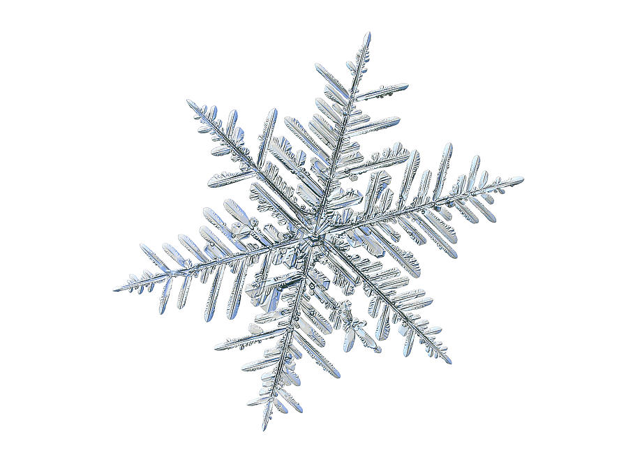 Real snowflake 2018-12-18_8843-52w Photograph by Alexey Kljatov