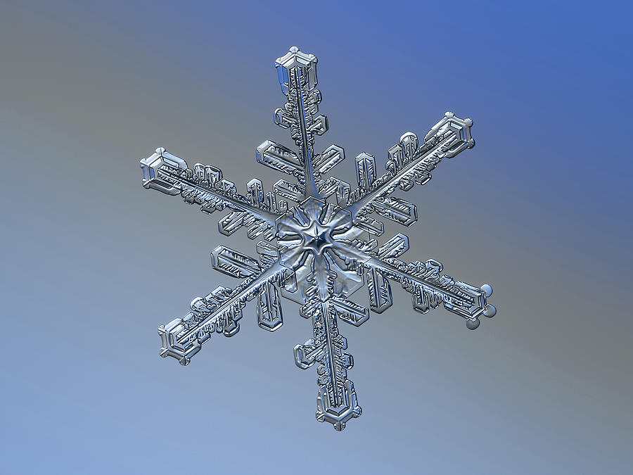 Real snowflake 2018-12-20 9712-20 Maia Photograph by Alexey Kljatov