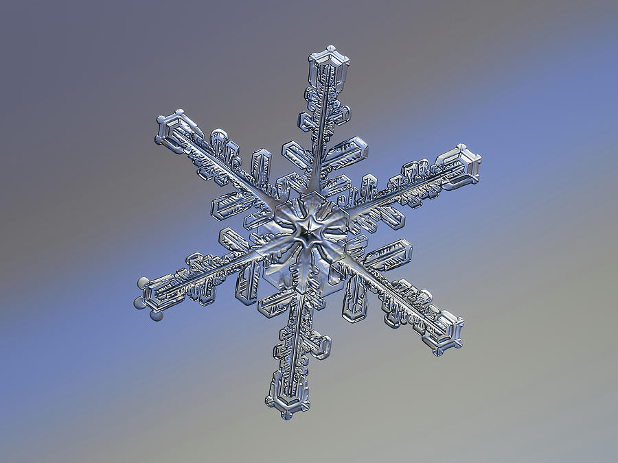Real snowflake 2018-12-20 9712-20a2 Maia Photograph by Alexey Kljatov