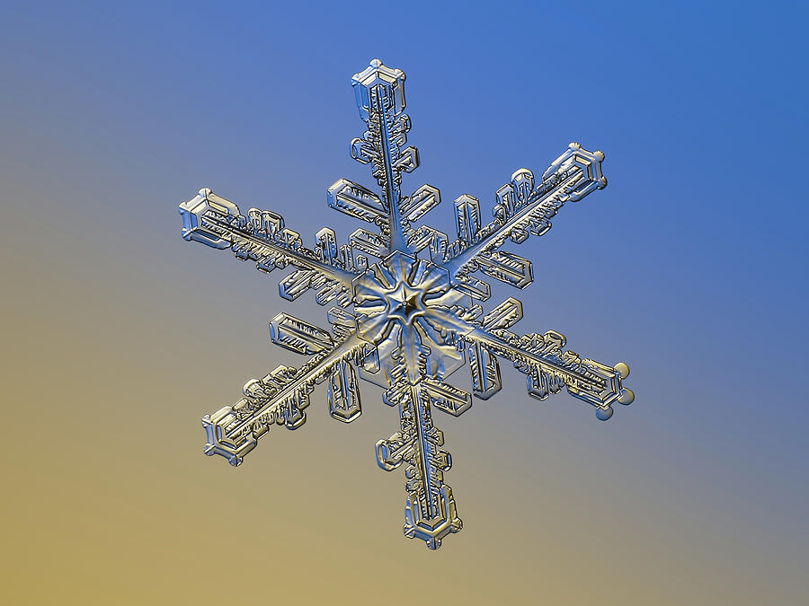 Real snowflake 2018-12-20 9712-20a3 Maia Photograph by Alexey Kljatov
