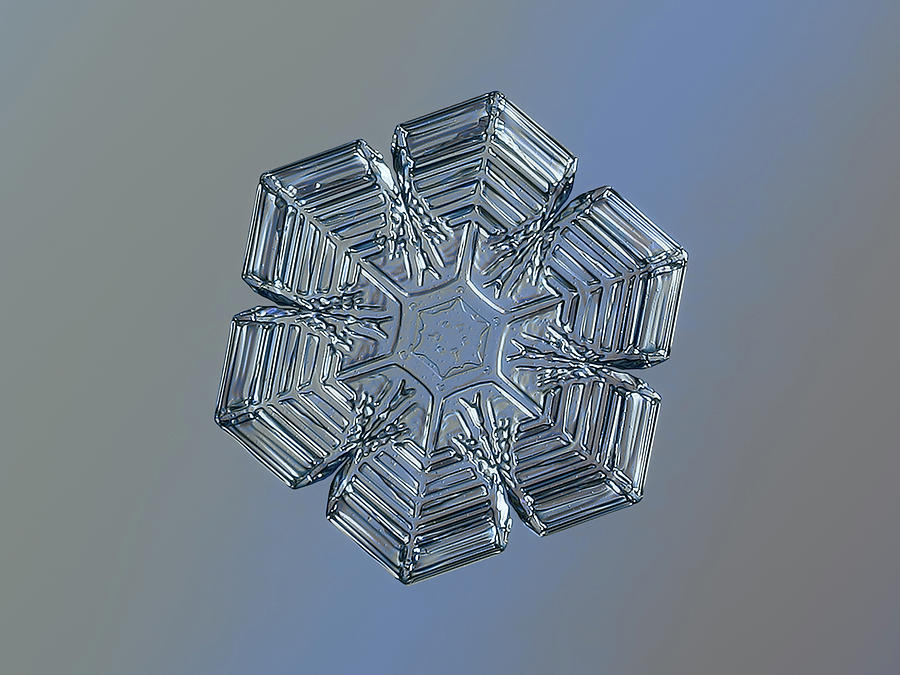 Real snowflake 2019-01-10_3 Photograph by Alexey Kljatov