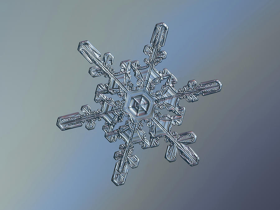 Real Snowflake 2021-01-14_4416-25 Photograph