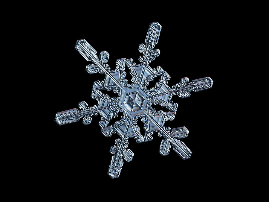 Real snowflake 2021-01-14_4416-25b Photograph by Alexey Kljatov
