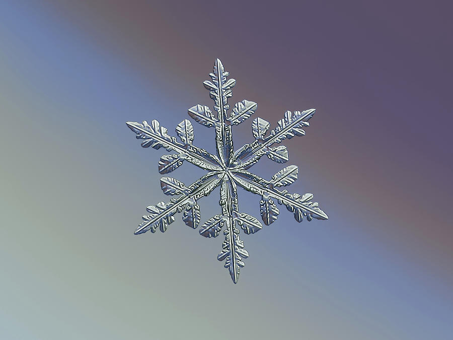 Real snowflake 2021-01-15_1 Photograph by Alexey Kljatov