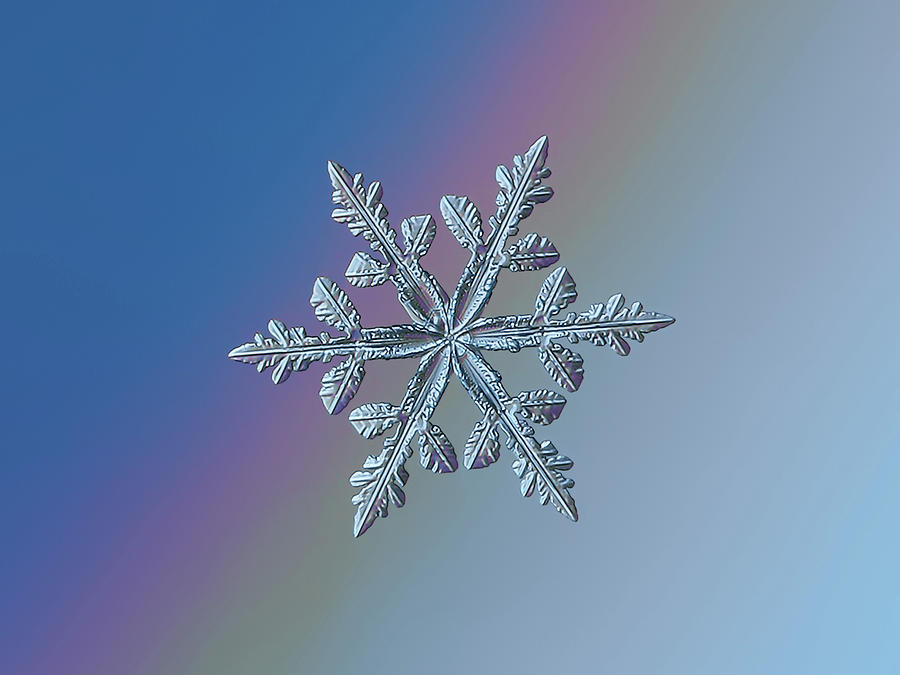 Real snowflake 2021-01-15_1alt Photograph by Alexey Kljatov