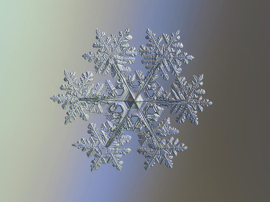 Real snowflake 2021-02-11_1alt Photograph by Alexey Kljatov