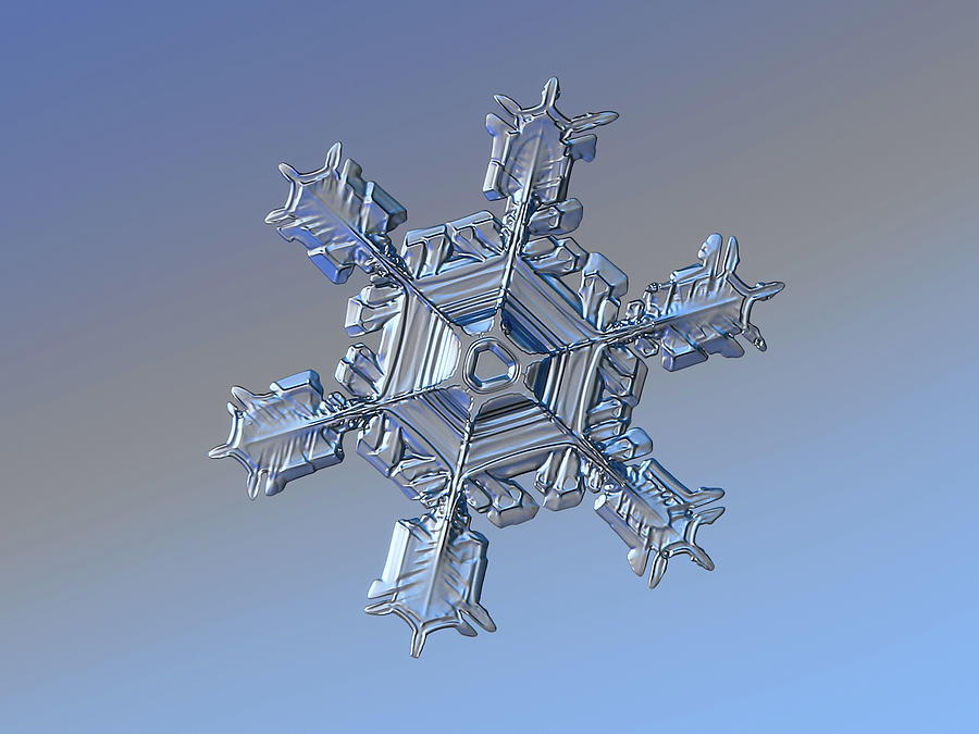 Real snowflake 2021-02-17 8913-21 Photograph by Alexey Kljatov
