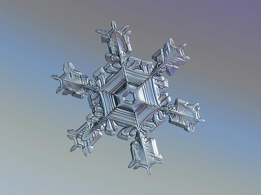 Real snowflake 2021-02-17 8913-21 alt Photograph by Alexey Kljatov