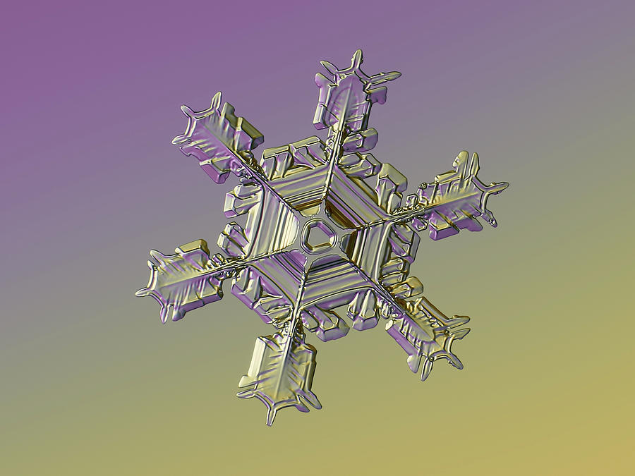 Real snowflake 2021-02-17 8913-21 alt2 Photograph by Alexey Kljatov