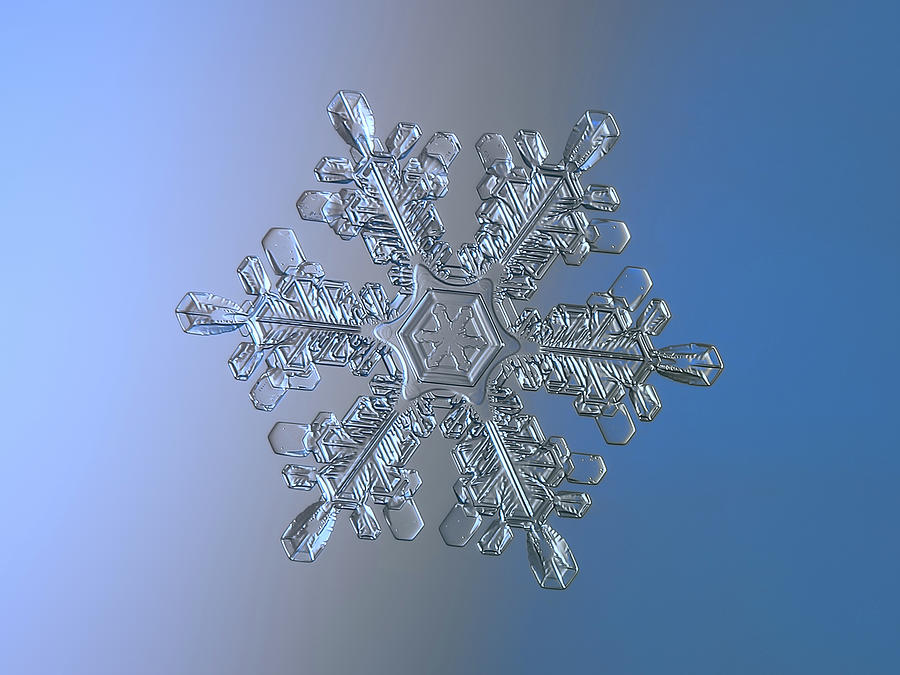 Real snowflake 2021-02-17_8800-10 Photograph by Alexey Kljatov