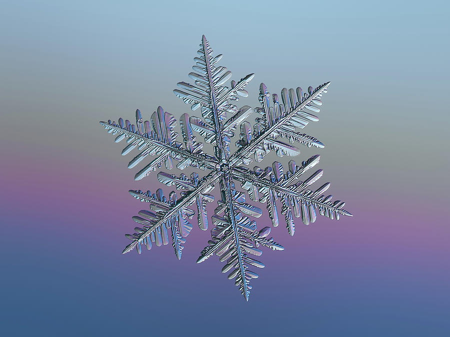 Real snowflake 2021-12-27_1980-96 Photograph by Alexey Kljatov
