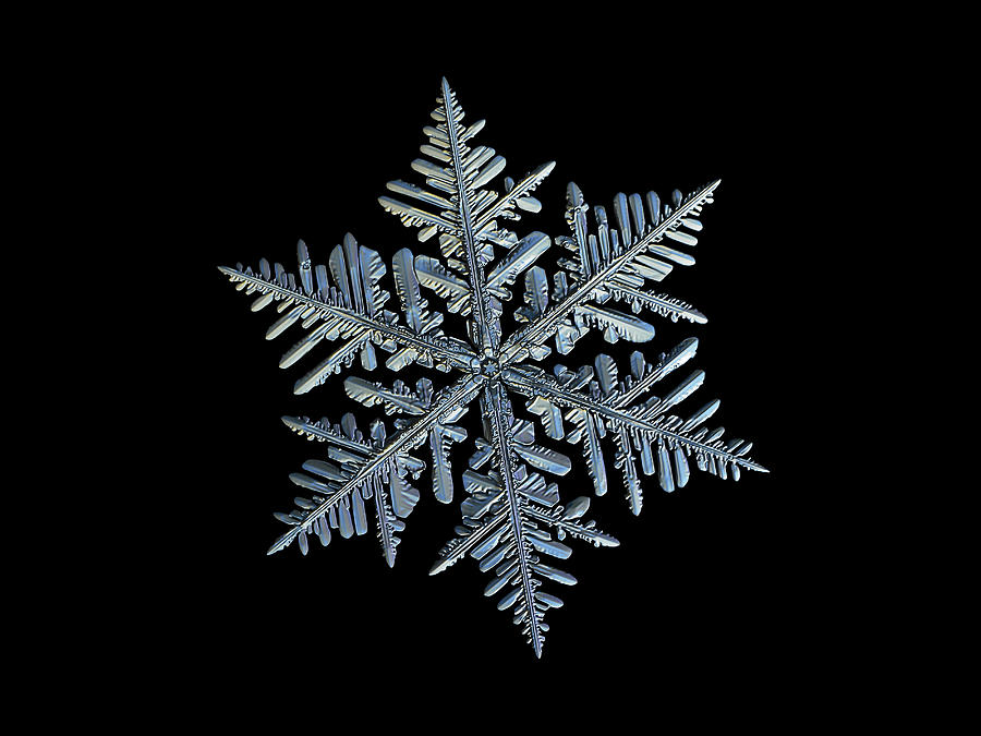 Real snowflake 2021-12-27_1980-96_black Photograph by Alexey Kljatov