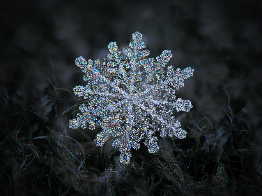Real snowflake 2022-11-18_4279-93 Photograph by Alexey Kljatov