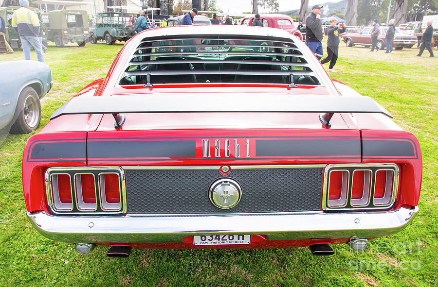Vintage Photograph - Rear of a 1970  Ford Mustang Mach 1. by Christopher Edmunds