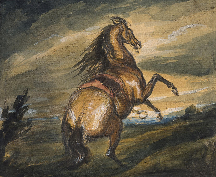 Rearing Horse Drawing by Edwin Henry Landseer