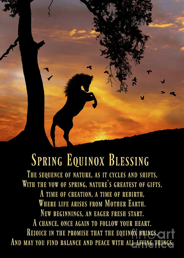 Rearing Horse in Sunrise Spring Equinox Blessing Photograph by