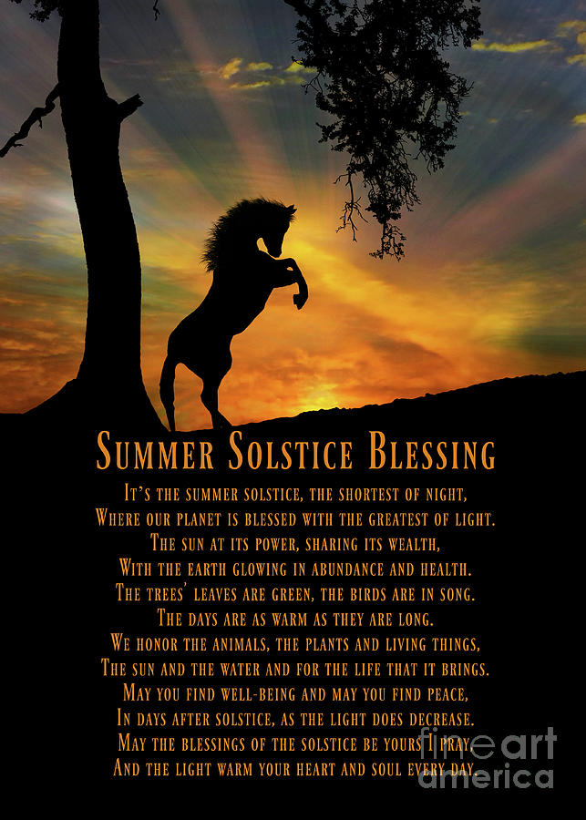 Rearing Horse in the Sunset Summer Solstice Blessings Poem Photograph ...