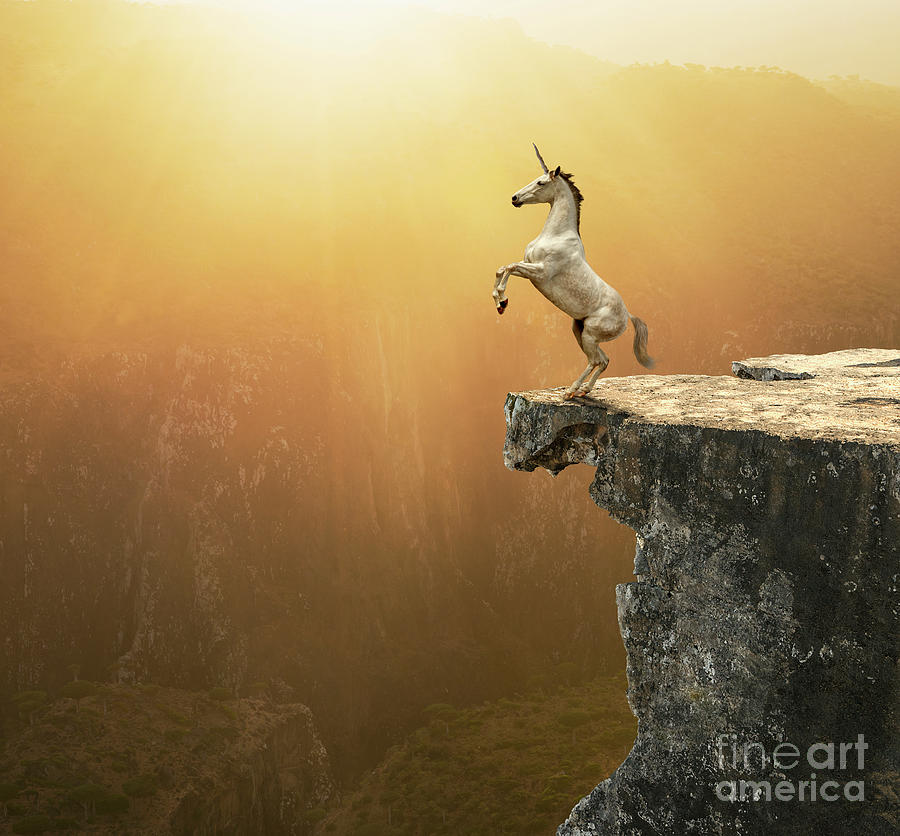 Unicorn Photograph - Rearing Unicorn by John Lund