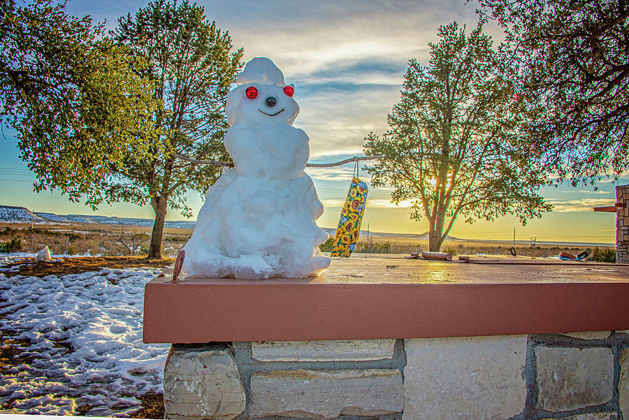 Rebel Snowman Photograph by Lynn Bauer