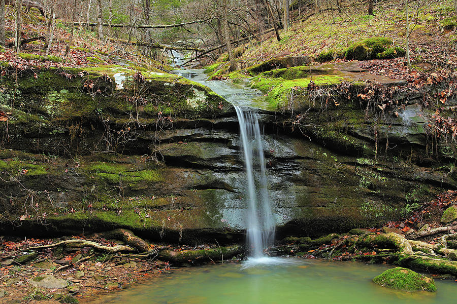 Rebman Falls at Ferne Clyffe 3 Photograph by Greg Matchick - Fine Art ...