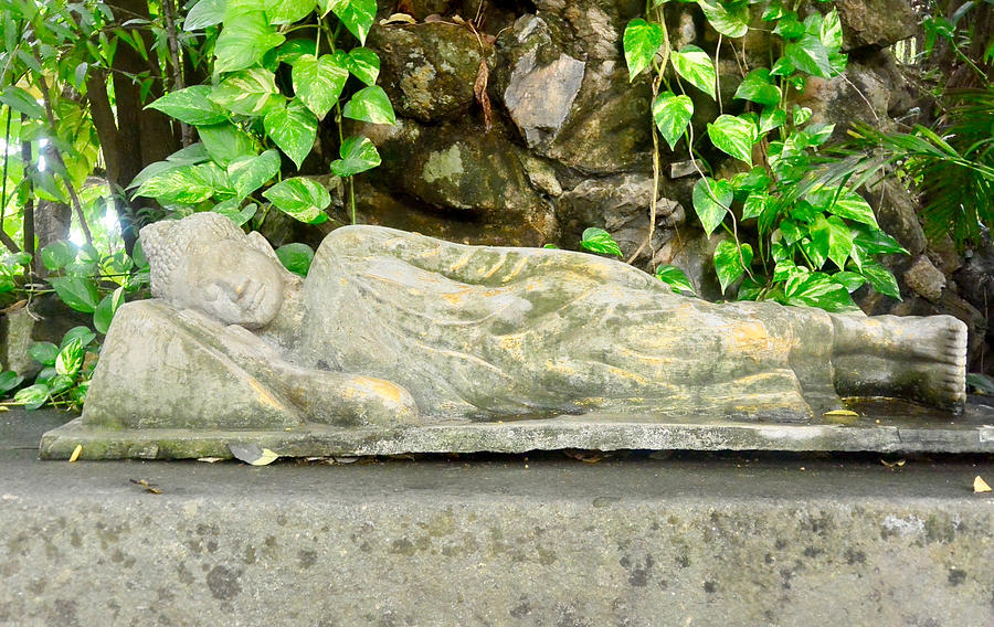 Reclining Buddha Statue in Garden, Nirvana Pose Photograph by photo by Pam Susemiehl