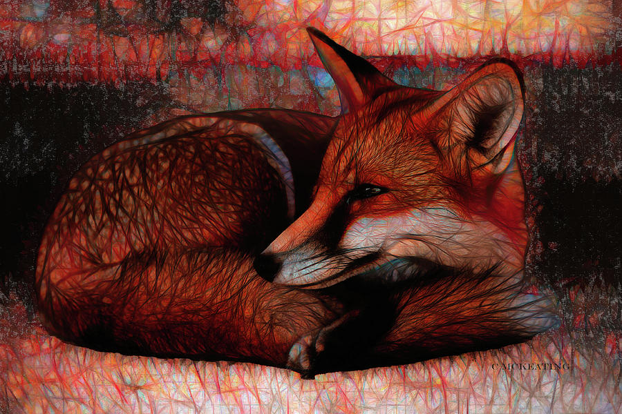 Reclining Fox Digital Art by Catherine McKeating and Art Crew NZ