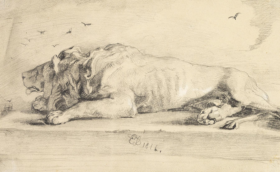 Reclining Lion Drawing by Edwin Henry Landseer