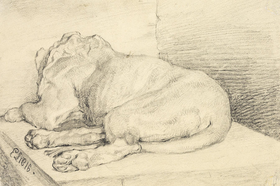 Reclining Lion, From Back Drawing by Edwin Henry Landseer
