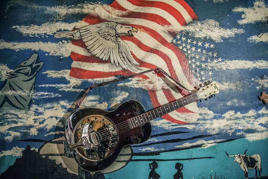 Recording King Rattlesnake resonator 2 Photograph by Billy Hughes Pixels