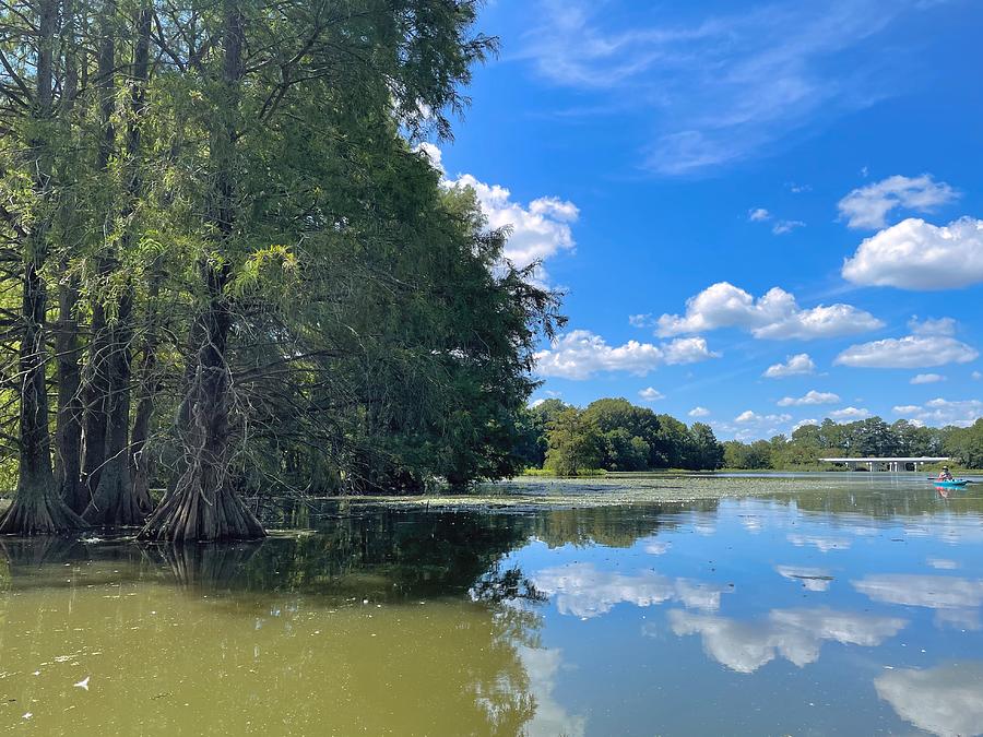 Records Pond, Laurel, Delaware Photograph by Kerri Batrowny Fine Art