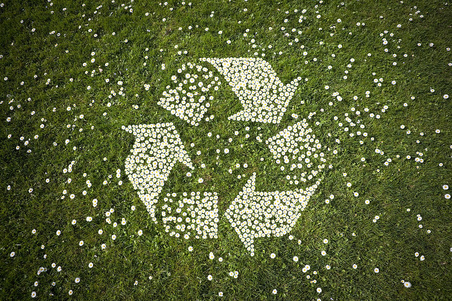Recycle Logo in Daisies on Grass Photograph by Cjp