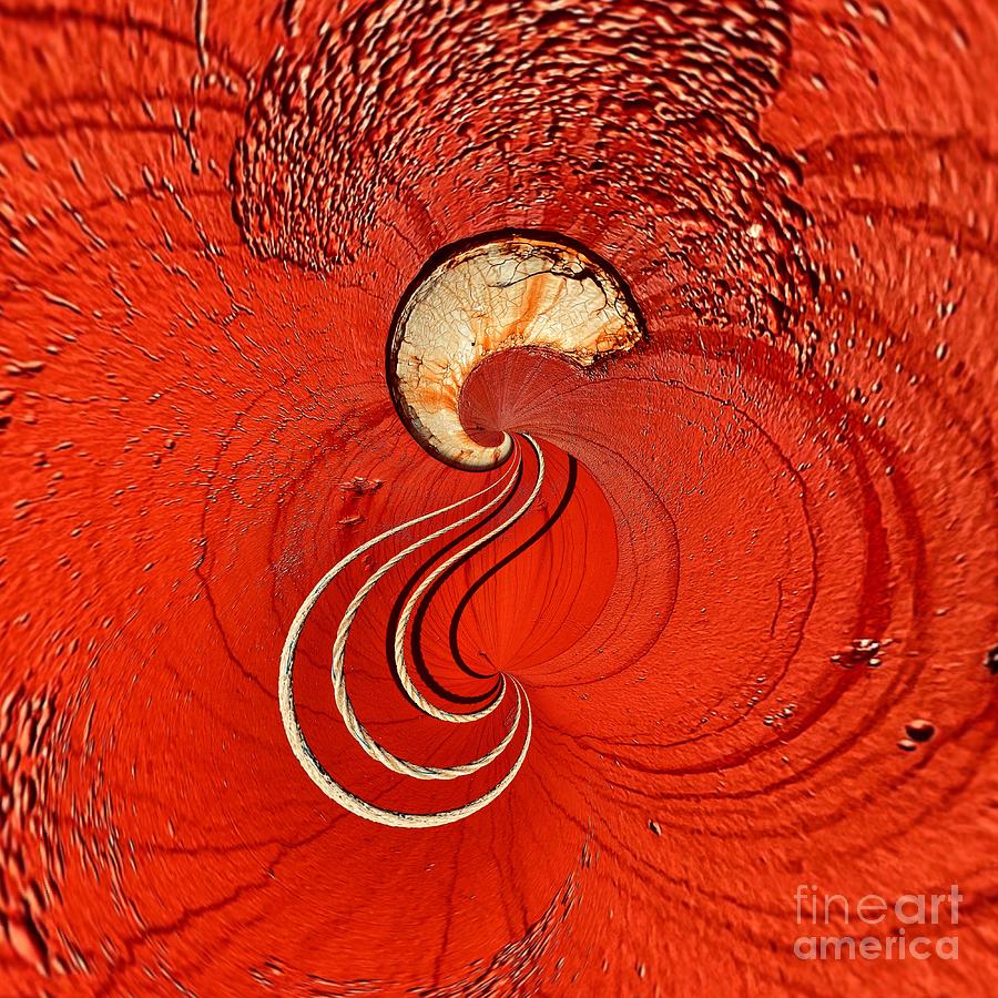 Red Abstraction Photograph by Terry Rowe
