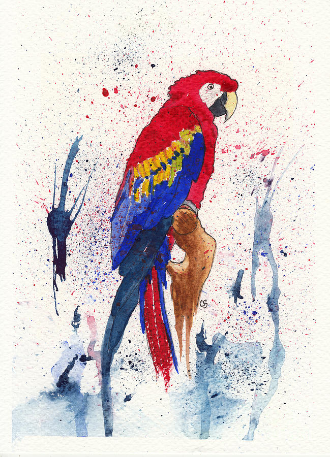 Red and Blue Macaw 2 Mixed Media by Conni Schaftenaar