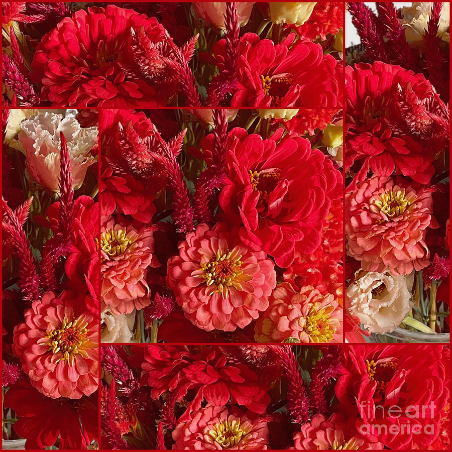 Red and Coral Flowers Collage with Red Border Photograph by Carol Groenen