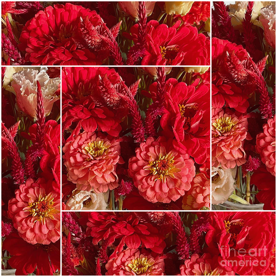 Red and Coral Flowers Collage with White Border Photograph by Carol Groenen