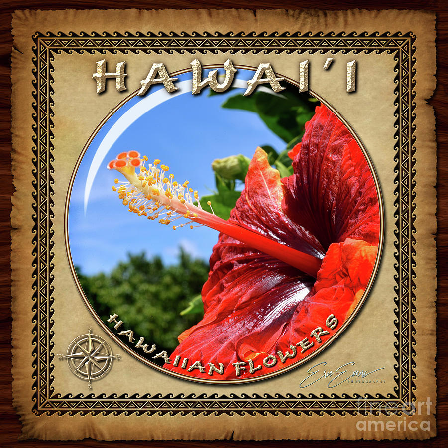 Red and Orange Hibiscus Sphere Image with Hawaiian Style Border Photograph by Aloha Art