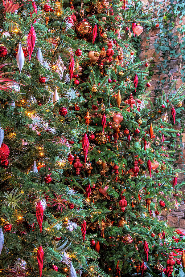 Red and Orange Themed Christmas Trees Photograph by Kristia Adams