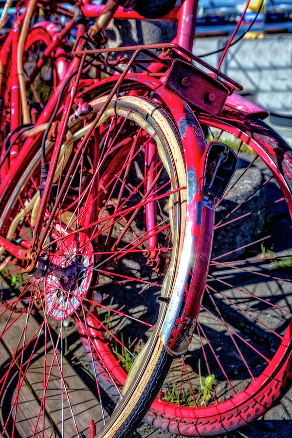Red and Rusty Photograph by Debra and Dave Vanderlaan