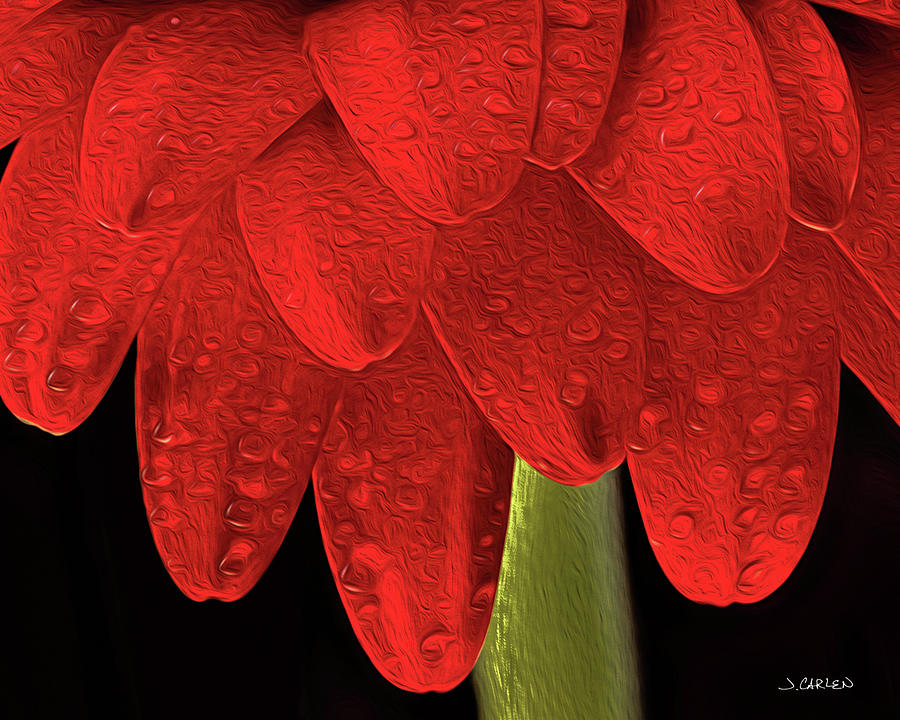 Dripping Red Photograph by Jim Carlen