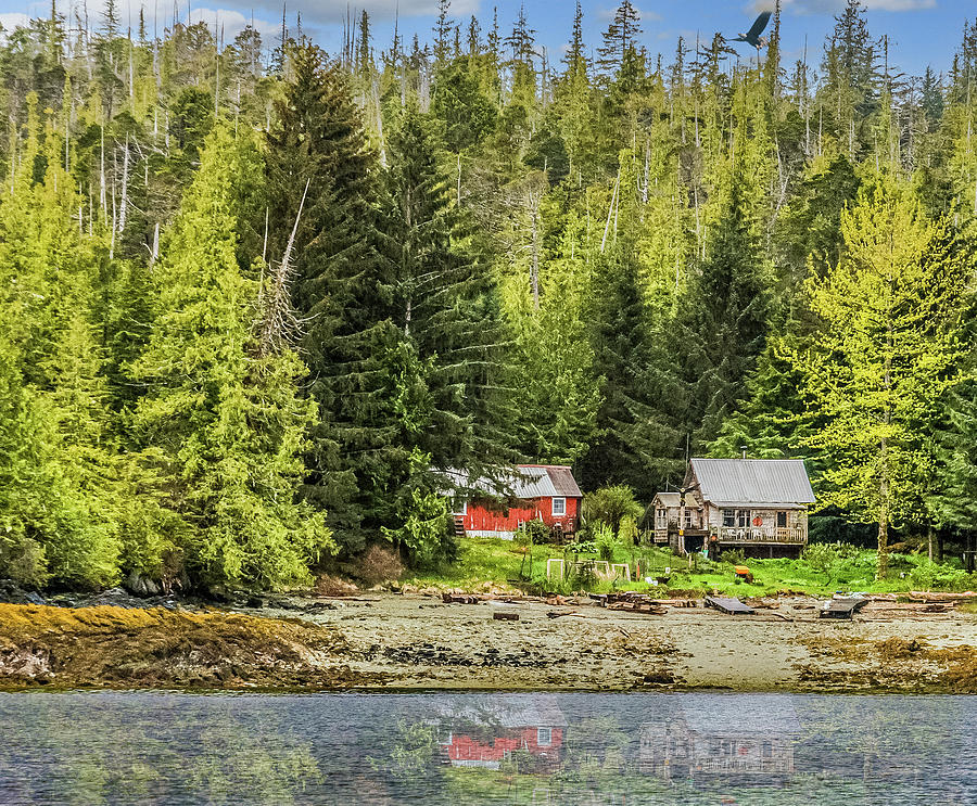 Red and White Cabins on Alaska Shore Photograph by Darryl Brooks