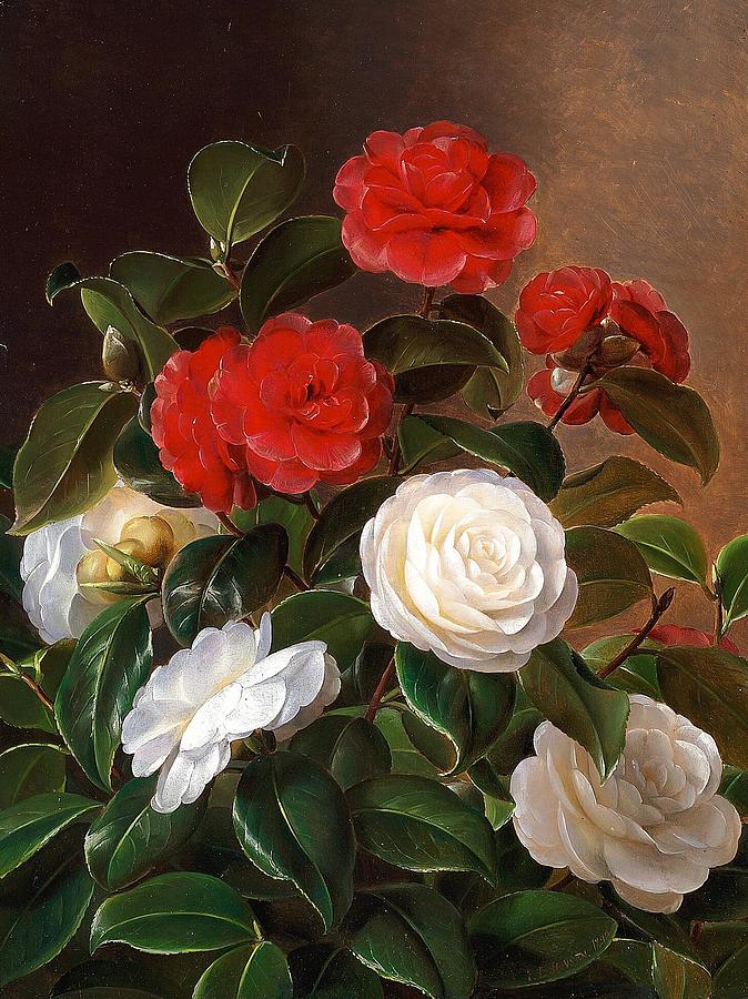 White Painting - Red and white camellia by Johan Laurentz Jensen