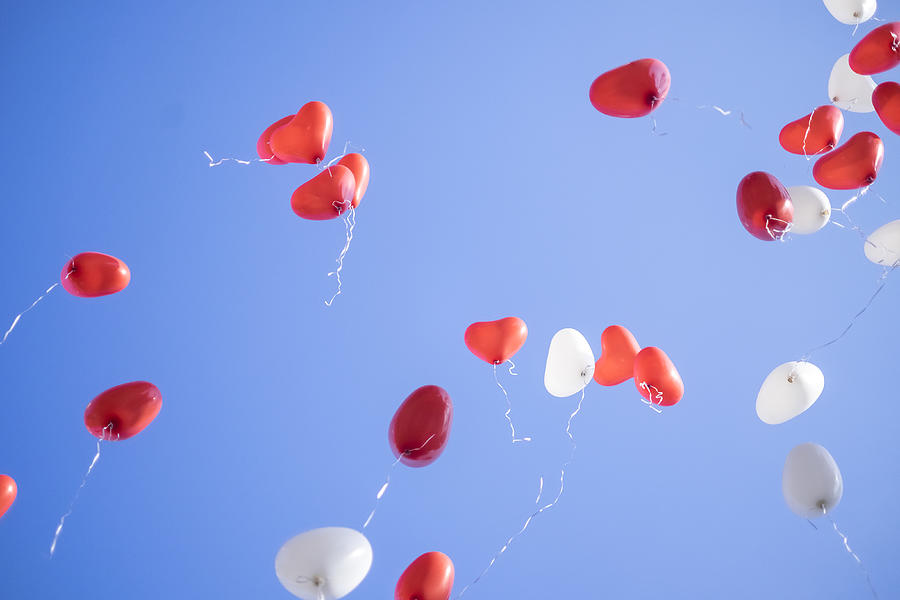 Red and white heart shaped balloons flying away in blue sky. Wedding ceremony. Photograph by Malorny