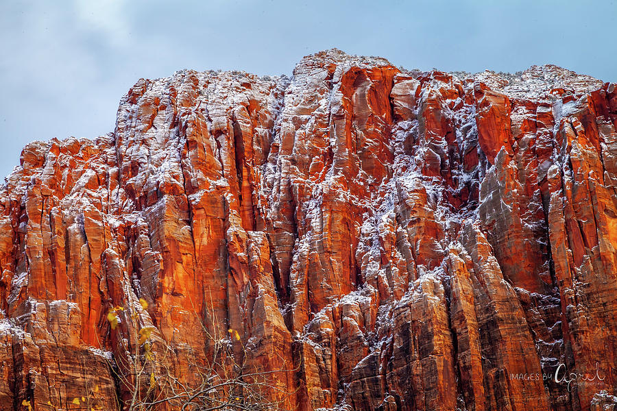 Red and White Zion Photograph by April Reppucci