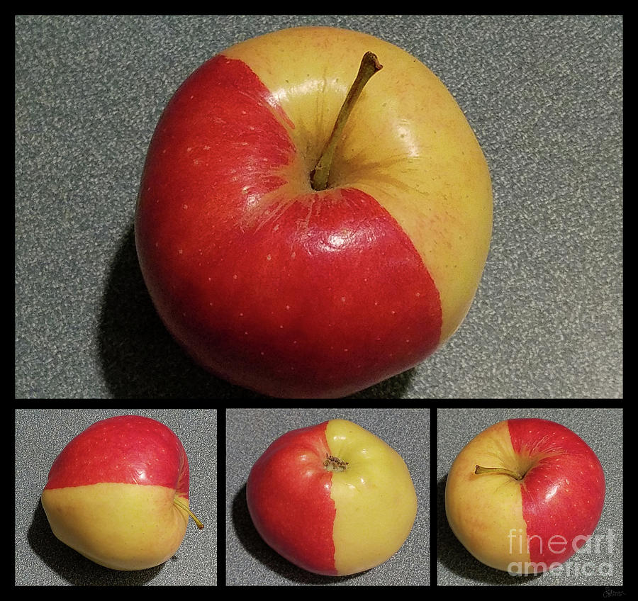 Red and Yellow Apple Photograph by Jeff Breiman