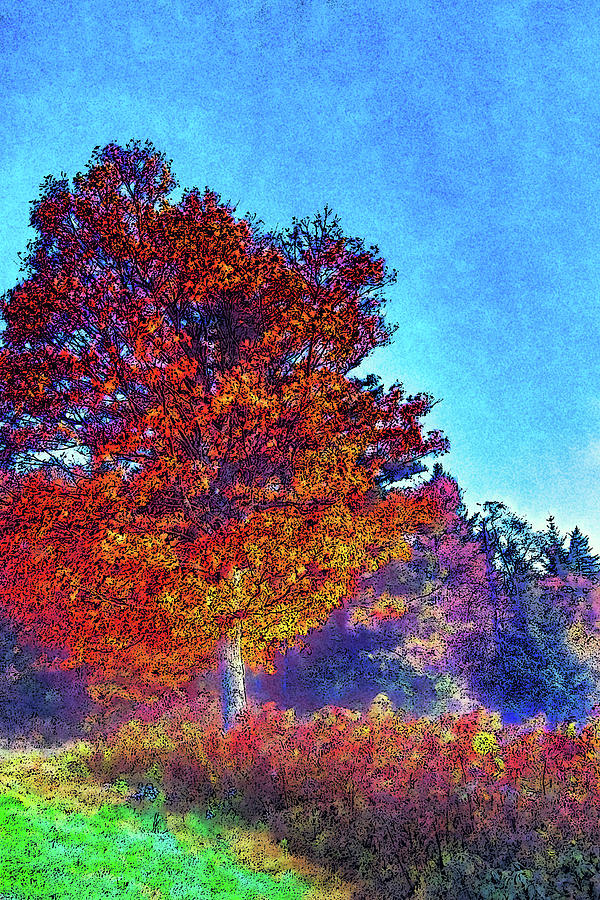 Red and Yellow Autumn Tree fx Digital Art by Dan Carmichael