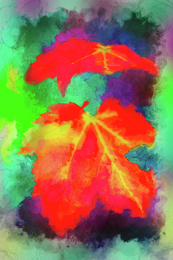 Red and Yellow Maple Leaf fx Digital Art by Dan Carmichael
