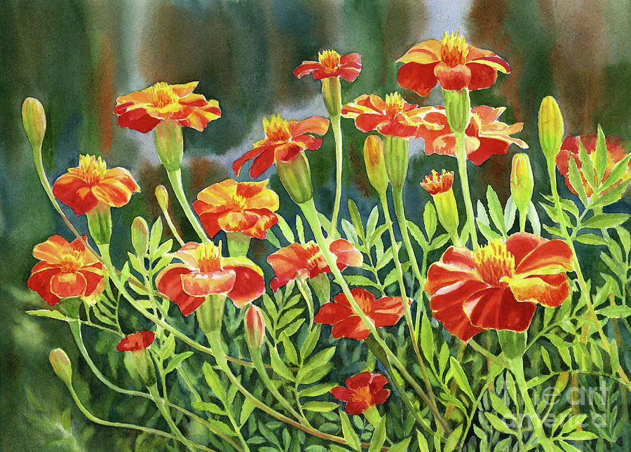 Red and Yellow Marigold Array Painting by Sharon Freeman - Fine Art America