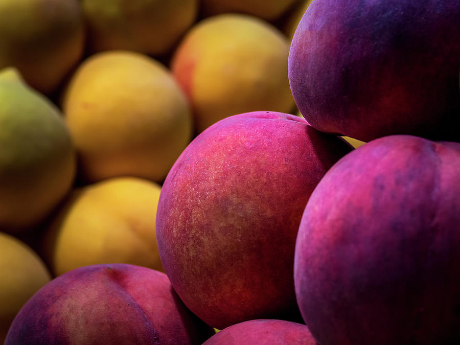 Red and Yellow Peaches Photograph by Luis Vasconcelos