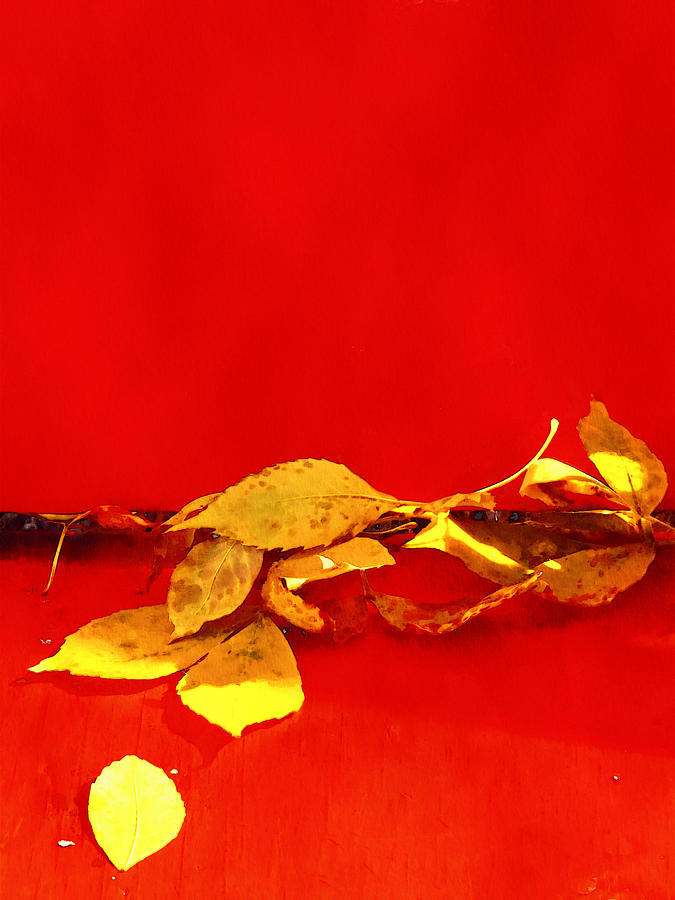 Red and Yellow Photograph by Tatiana Travelways
